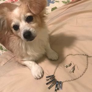 Statement Necklace with Matching Earrings